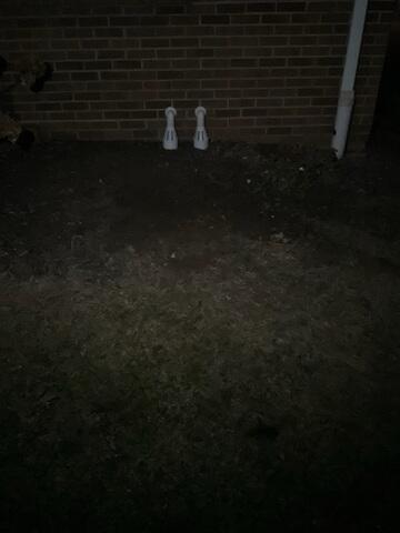 IceGuard Discharge Line