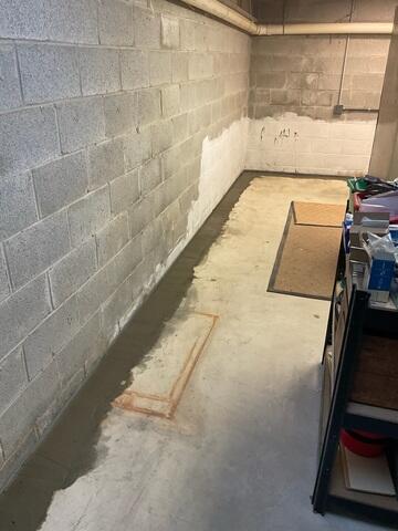 WaterGuard Drainage System