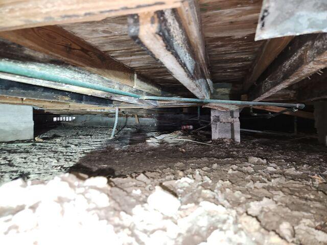 Crawl Space Moisture Damage