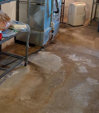 Before Waterproofing: Moist Air in the Basement