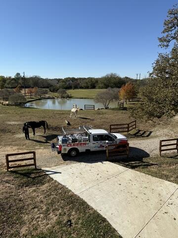 Hanging Out with Horses