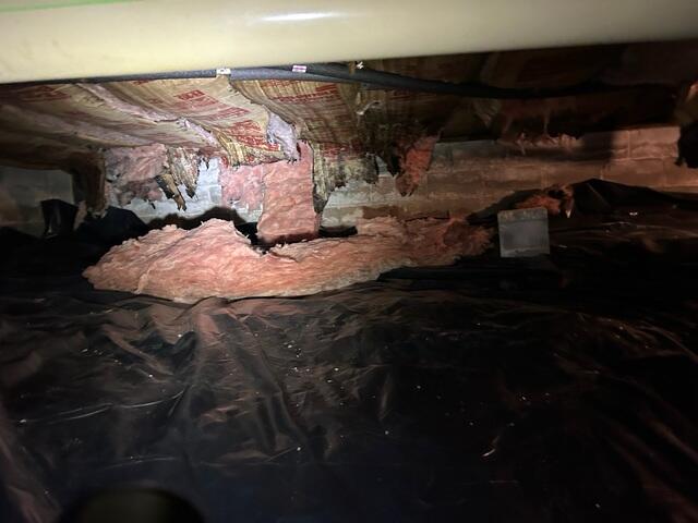 Spooky Crawl Space!