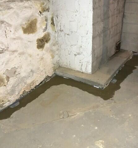 WaterGuard Drainage System & WaterGuard Port