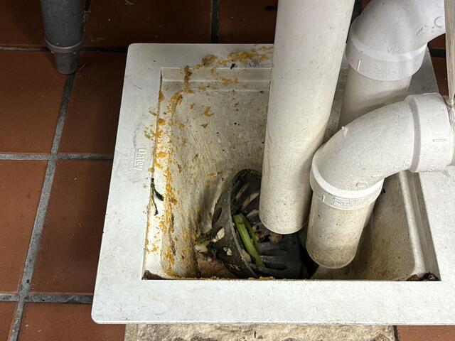 Treated The Floor Drains