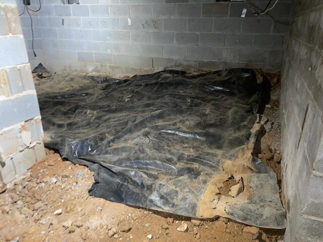 Crawl Space During Inspection