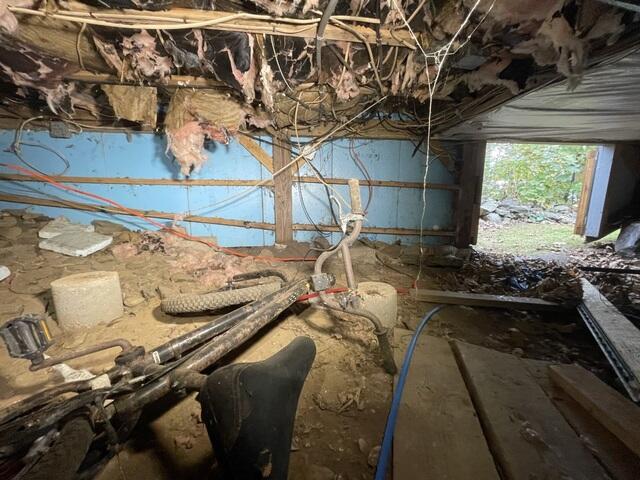Crawl Space - Before