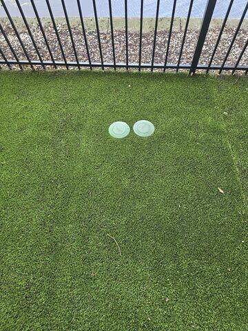 Backyard Appearance Restored