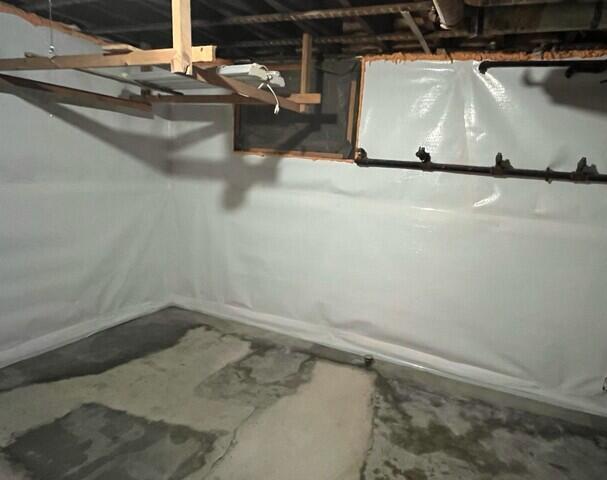 CleanSpace Wall System & WaterGuard Drainage System