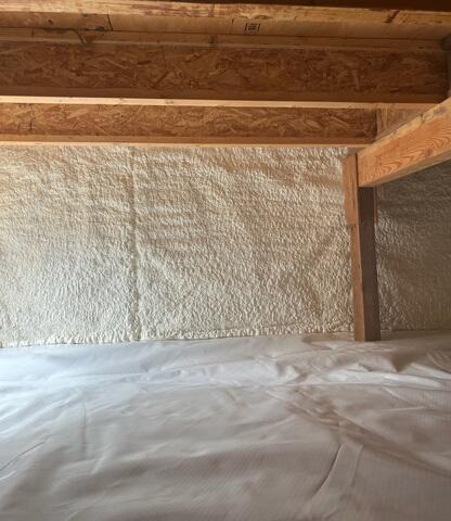 Spray Foam Insulation