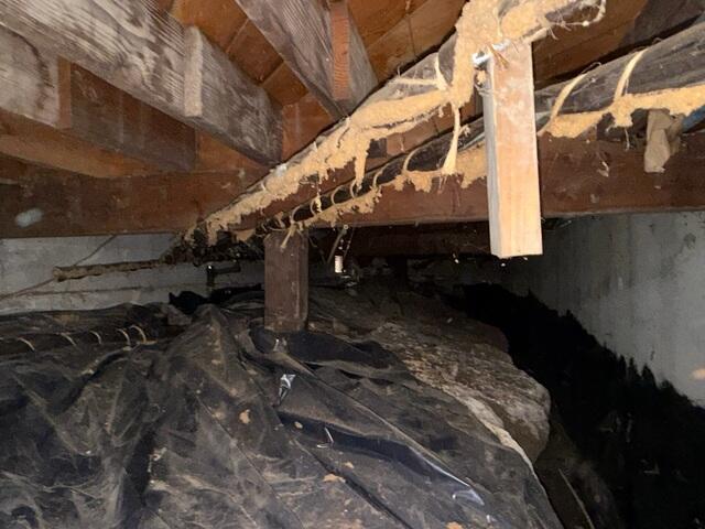 Damp and Nasty Crawl Space