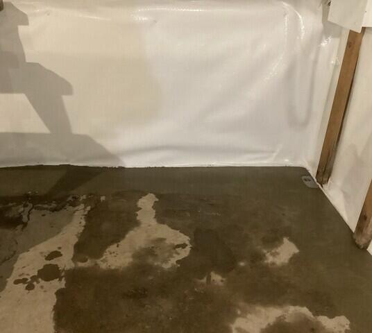 WaterGuard Drainage System