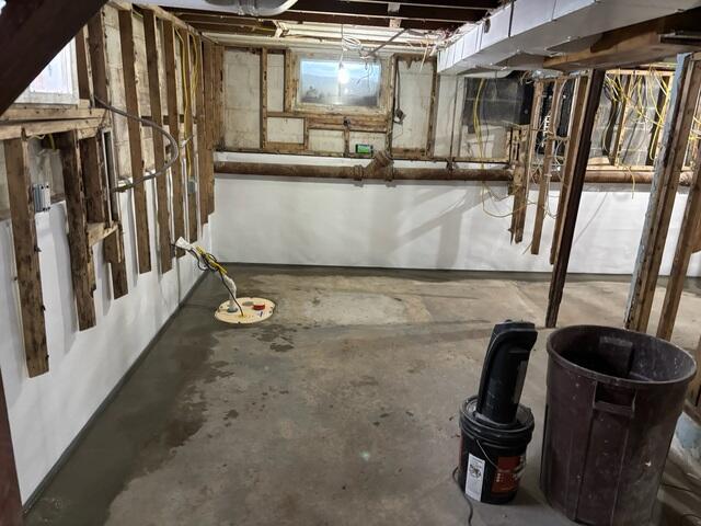 TripleSafe Sump Pump