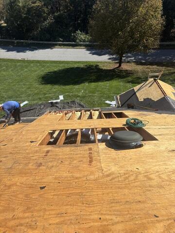 Bad Plywood Is Removed