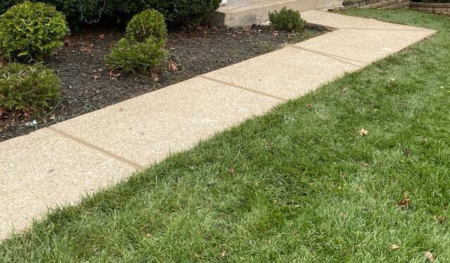 Concrete Walkway Restored