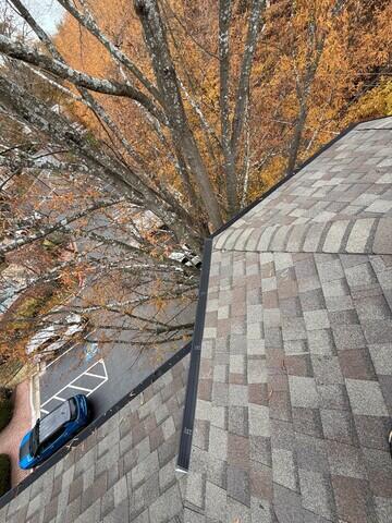 Gutter Gurads in action