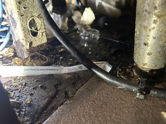 Another Part of the Treatment