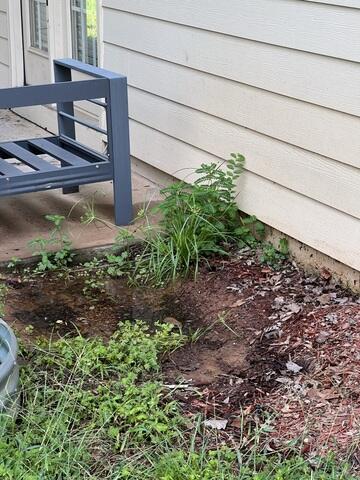 Water overflow leaving damage