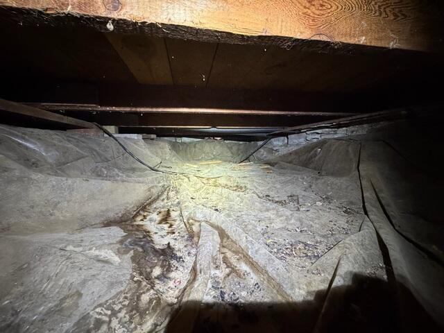 Before Photo of Crawlspace