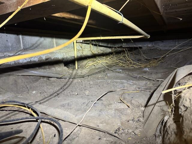 Messy Crawlspace