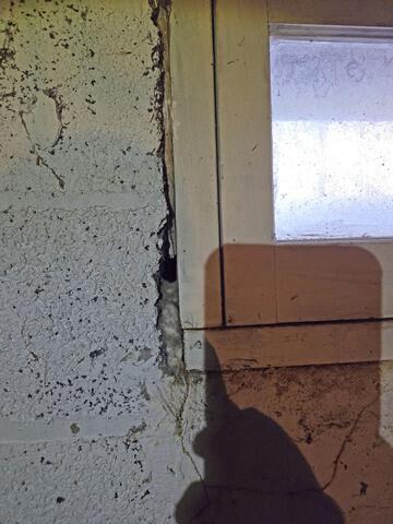 Setting Up for Rodents