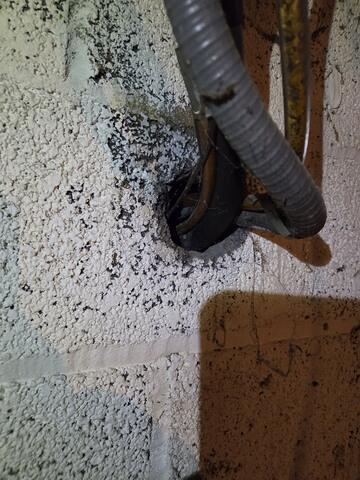 Come Back to Exclude