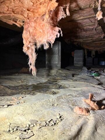 Initial Crawl Space Inspection