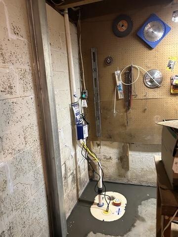 TripleSafe Sump Pump