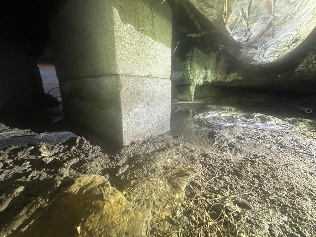 Crawl Space During Inspection
