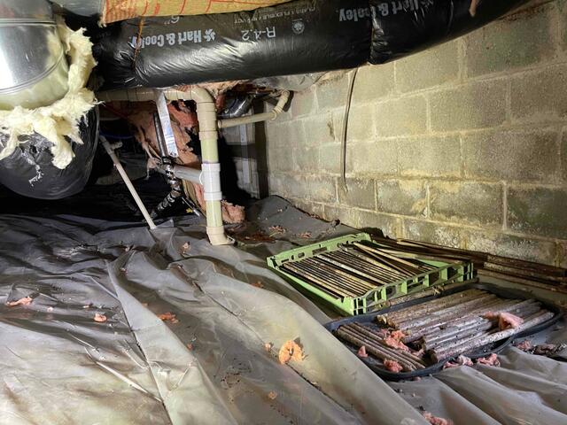 Before the Encapsulation