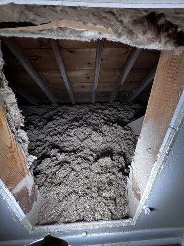 Protection for the Whole Home