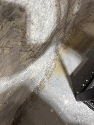 Waterdamage/Mold