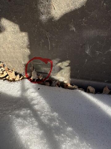 Entering Through Here