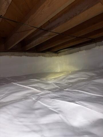 CleanSpace Goes Up the Walls to Fully Protect Your Home