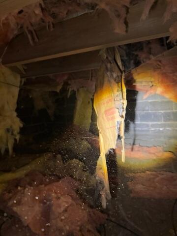 Nightmare Crawl Space