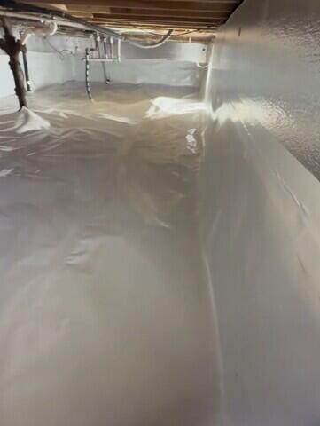 Bright and Protected