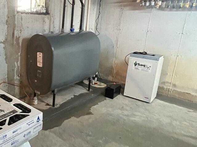 Basement Dehumidifier