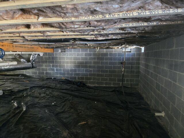 Crawl Space Before