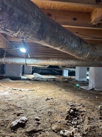 After Debris Removal