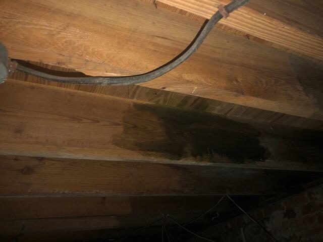 Mold Stains in Crawl Space