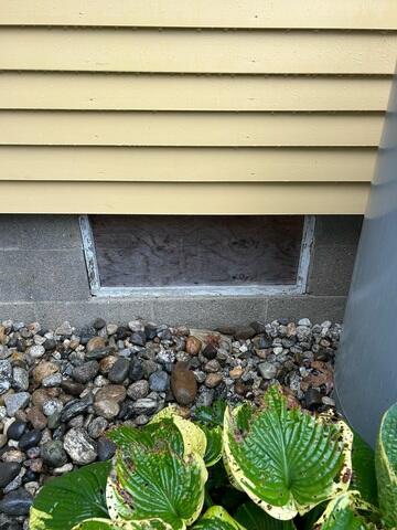 Rotting Basement Window