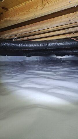 Bright, Clean. and Dry!