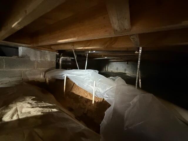 Crawl Space Before