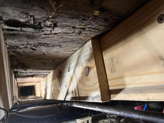 Floor Joist Replacement