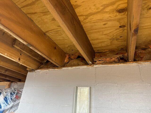 contaminatedinsulation2