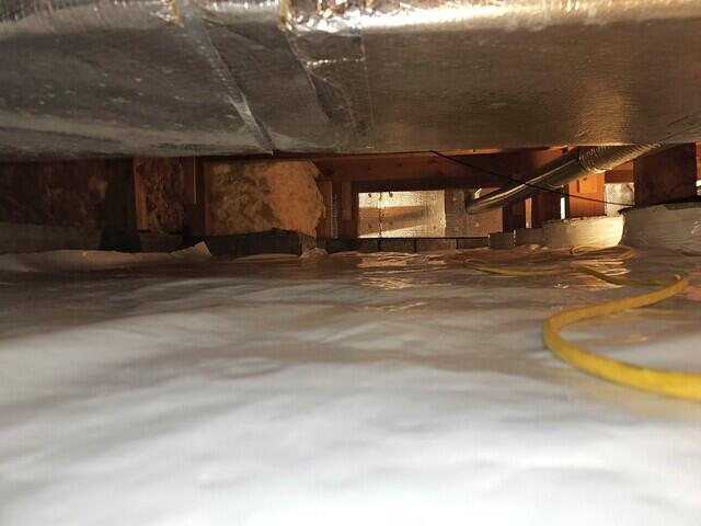 After Installation - CleanSpace© Light, and SilverGlo©