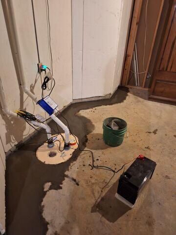 TripleSafe™ Sump Pump System