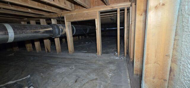 A Dirty, Nasty Crawl Space