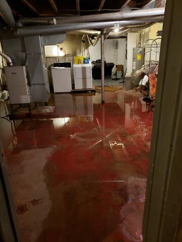 Before WaterGuard® - Flooding Present