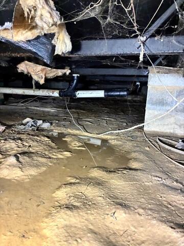 Yikes! Standing Water in the Crawl Space