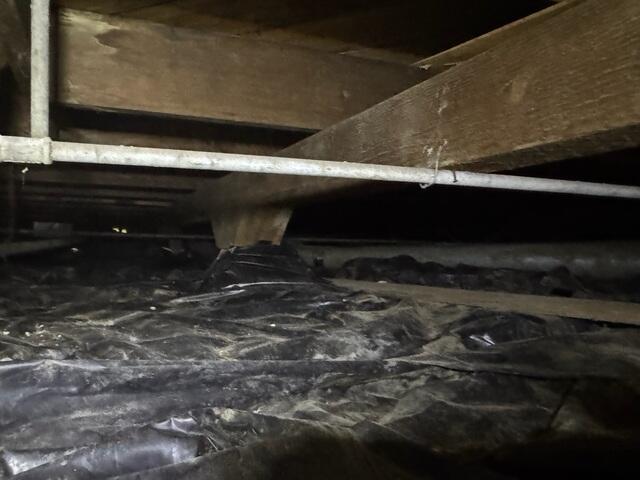 Before Photo of Crawlspace